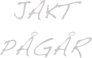 Jakt Pågår